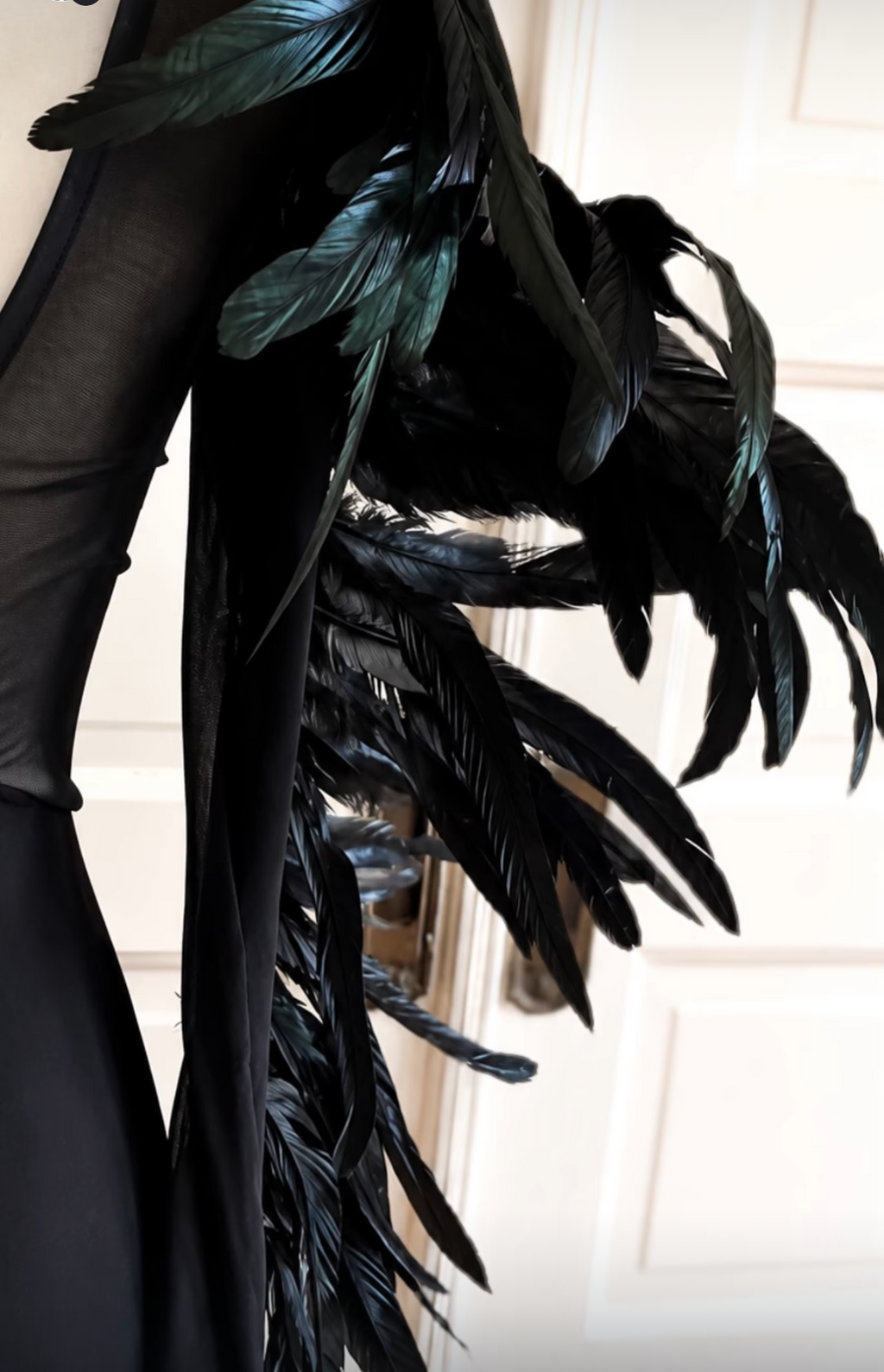Raven