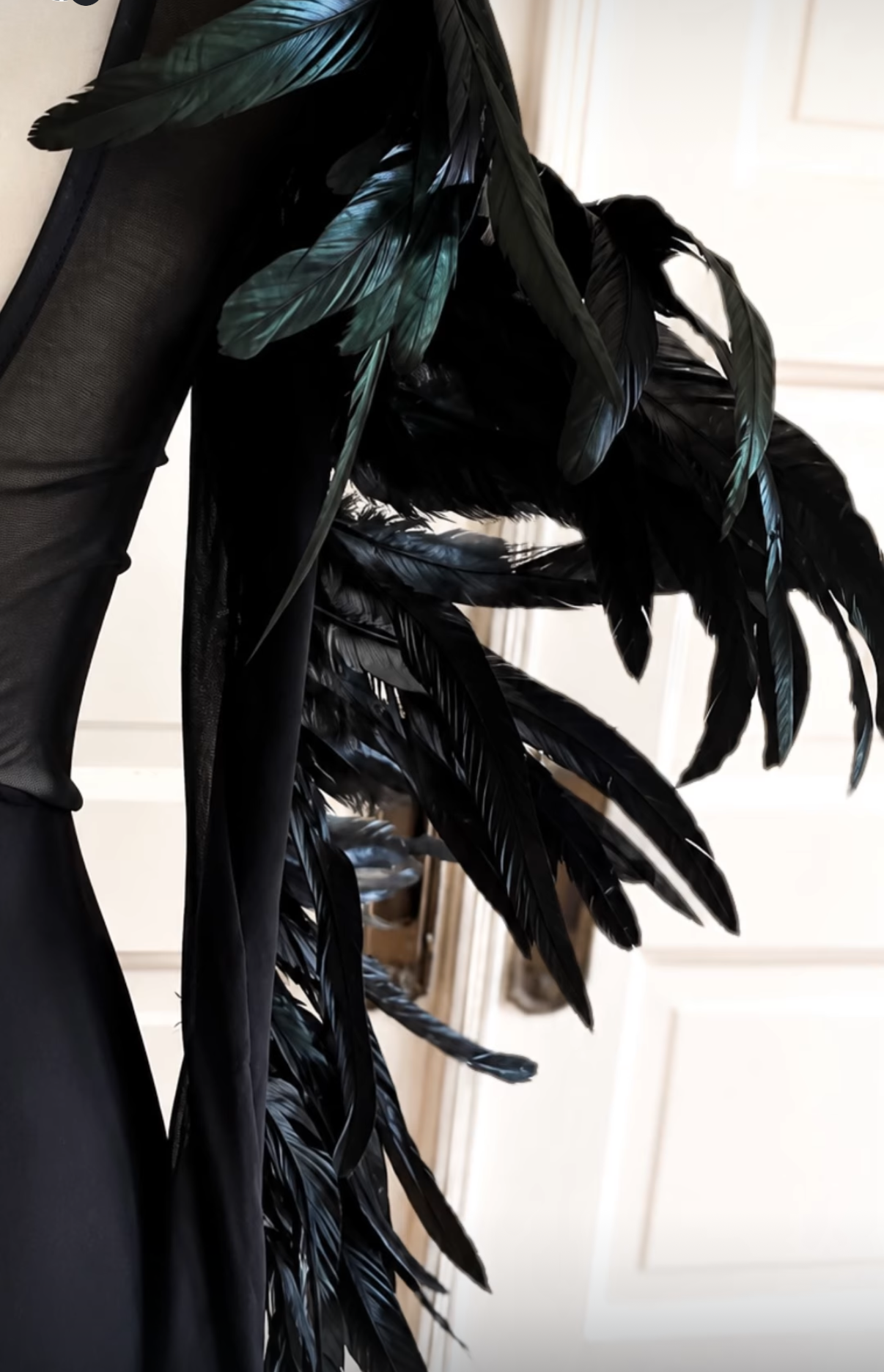 Raven